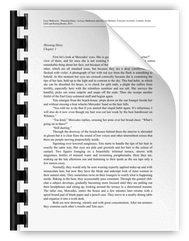 2013 Shooting Diary Unlawful Assembly.pdf